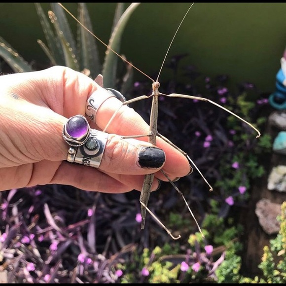 Hi - Picture 13 of 13